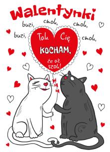 Okładka książki KARNET B6 WALENTYNKI KOTY Z MAGNESEM NA LODÓWKĘ