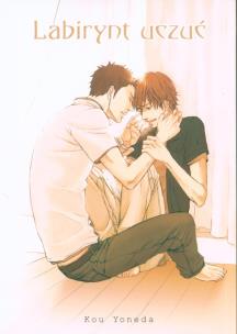 Okładka książki Labirynt Uczuć