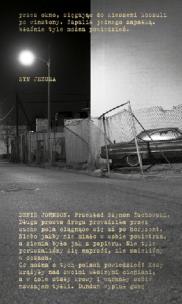 Okładka książki Syn Jezusa