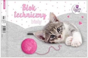 Opakowanie Blok techniczny biały A4/10K Kot