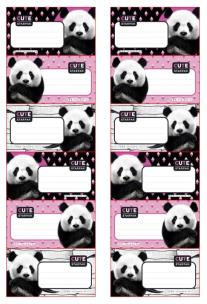 Opakowanie Naklejki na zeszyt (25szt)