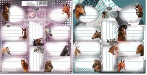 Opakowanie Naklejki na zeszyty Nice and Pretty