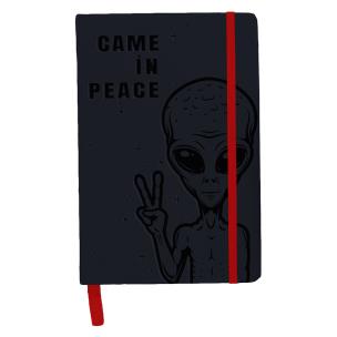 Opakowanie NOTES A5 BEUNIQ UFO PPUF320-3653