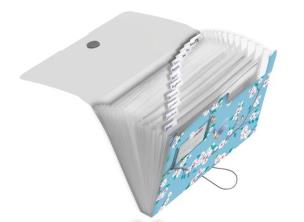 Opakowanie Teczka rozkładana A4 PP 12cz. Ladylike Birds