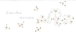 Opakowanie Karnet Ślub DL S12 - W Dniu Ślubu