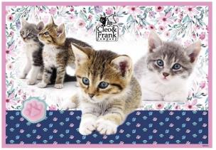 Opakowanie Podkład oklejany Cleo i Frank 22 DERFORM