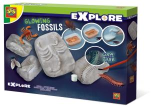 Opakowanie Świecące w ciemnościach skamieniałości