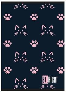 Opakowanie Zeszyt A5/32K kratka lam. mix ST.RIGHT (15szt)