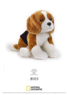 Opakowanie Beagle Maskotka