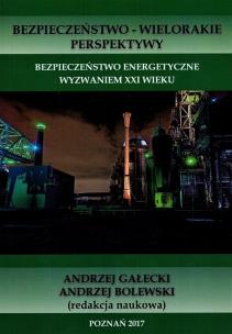 Opakowanie Bezpieczeństwo energetyczne wyzwaniem XXI wieku