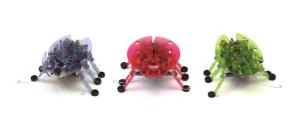 Opakowanie Hexbug Żuczek mix