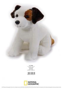 Opakowanie Jack Russell Maskotka