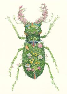 Opakowanie Karnet A110 B6 + koperta Chrząszcz