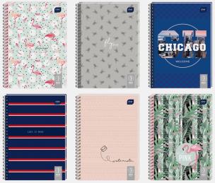 Opakowanie Kołozeszyt A5/100K Eco (5szt)