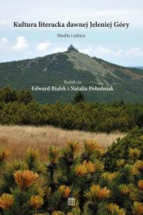 Okładka książki LITERATUROZNAWSTWO