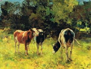 Opakowanie Magnes 60x80 Krowy na pastwisku Wierusz-Kowalski