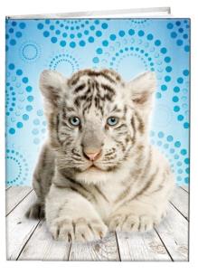 Opakowanie Notes gładki 13x18cm Tygrys