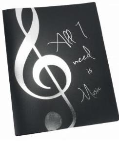 Opakowanie Segregator - All I Need Is Music srebrny