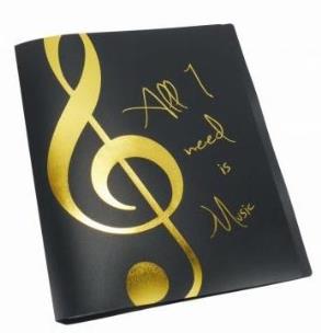 Opakowanie Segregator z folijkami - All I Need Is Music złoty