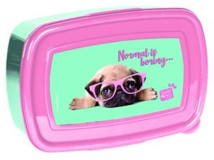 Opakowanie Śniadaniówka Studio Pets PTM-3022 PASO