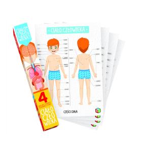 Opakowanie Ciało człowieka - zestaw 4 plakatów
