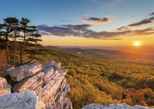Okładka książki KAL.TROJ. JEDNOCZESCIOWY SLONECZNIKI 2015-PRMI