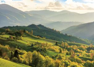 Okładka książki KAL.TROJ.LAKA 2014 T-106T-2-PRMI