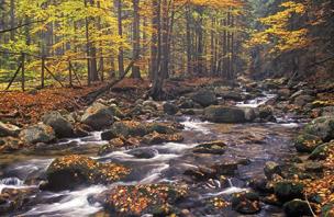 Okładka książki KAL.TROJ.ROZLEWISKO 2014 T-105T-07-PRMI