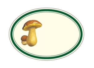 Opakowanie Naklejki dekoracyjne ETK 233 Grzyby 6szt ROSSI