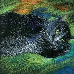 Opakowanie Notes. Kot zamyślony