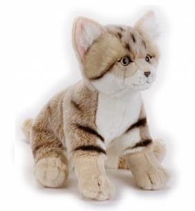 Opakowanie Pluszak Kot pustynny National Geographic Kids