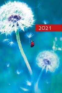 Opakowanie Terminarz 2021 B7 Mały Kolorowy Dmuchawiec