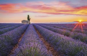 Terminarz 2021 Ścienny MiP. Wydawca: MICHALCZYK I PROKOP. Multiszop.pl Opakowanie Terminarz 2021 Ścienny MiP