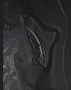 Okładka książki Wyzwolone siły. Angelika Markul i współczesny..