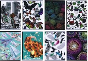 Opakowanie Zeszyt PP Fun A5 60k kratka 80gsm pakiet 4 sztuki