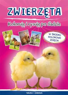Okładka książki Zwierzęta Koloruję i rysuję po śladzie
