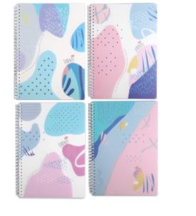 Opakowanie Brulion na spirali B5/80K kratka PP M&G