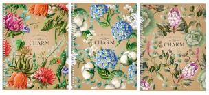 Opakowanie Kołobrulion A5/96K gładki The charm ASTRA