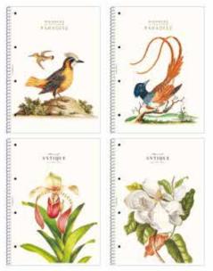 Opakowanie Kołozeszyt A4/80K kratka Paradise ASTRA