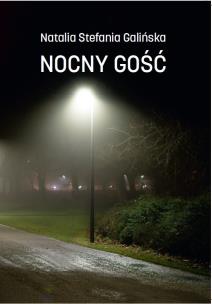 Okładka książki Nocny Gość
