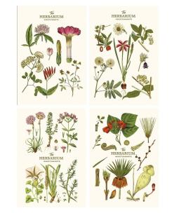 Opakowanie Notes A5/64K gładki Sketch&note Herbarium ASTRA