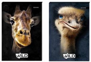 Opakowanie Notes A7/30K z poddrukiem Cars mix