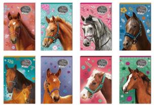 Opakowanie Notes A7/30K z poddrukiem Nice and Pretty (16szt)