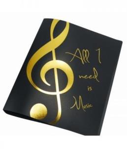 Opakowanie Segregator All I Need Is Music złoty