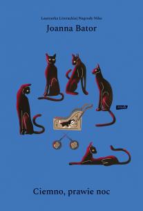 Okładka książki Ciemno, prawie noc wyd.4