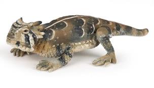 Opakowanie Frynosoma rogata