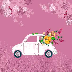 Opakowanie Karnet Swarovski kwadrat CL3406 Auto