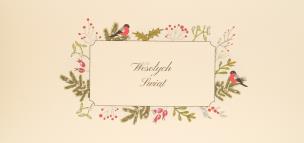 Opakowanie Karnet Święta DL B29 - Wesołych Świąt Ptaszki