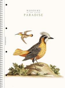 Opakowanie Kołozeszyt A4/80K linia Paradise ASTRA