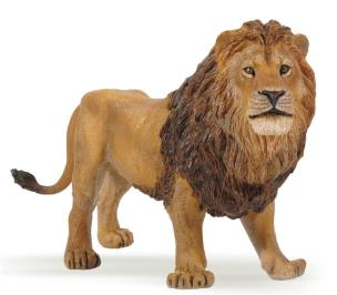 Opakowanie Lew młody